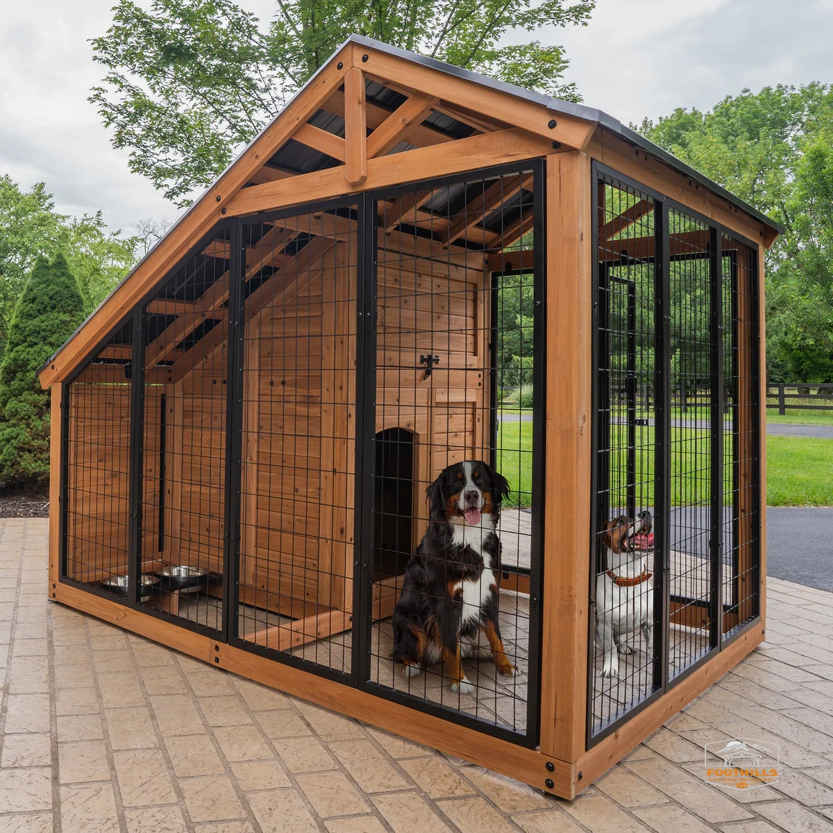 Animal Enclosure